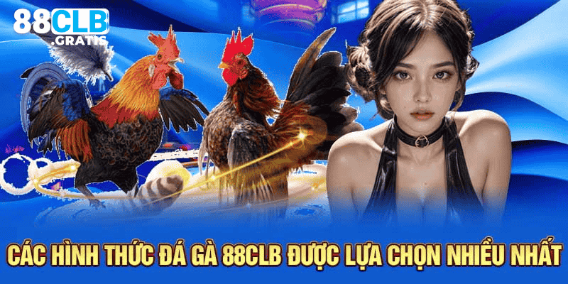 Những hình thức chọi gà được yêu thích nhất tại 88CLB