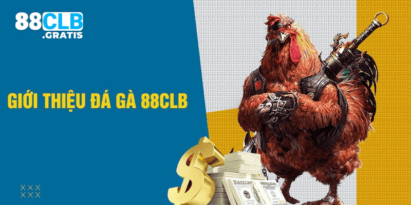 Đá gà tại nhà cái 88CLB là gì?